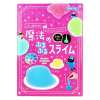 シルバーバック 魔法のぷるぷるスライム 9784861487590 1個（直送品）