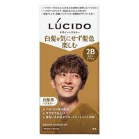 ルシード デザインヘアカラーメンズ用 白髪染め マンダム