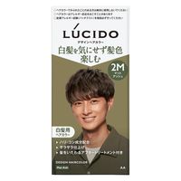 ルシード デザインヘアカラー マットアッシュ 2M メンズ用 白髪染め マンダム（医薬部外品）