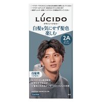 フィヨーレ　カラーリング剤　多色　まとめ売り □ フィヨーレ BLカラー 120g 21点セット まとめ売り ヘアカラー