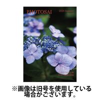 ふぉとさい 2024/12/27発売号から1年(4冊)(雑誌)（直送品）