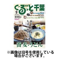 ぐるっと千葉 2024/12/20発売号から1年(12冊)(雑誌)（直送品）