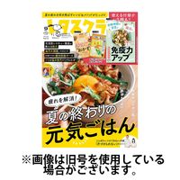 レタスクラブ 2024/12/25発売号から1年(12冊)(雑誌)（直送品）