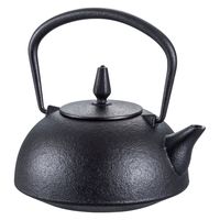 池永鉄工 南部鉄 急須 華はる 507502 1個（直送品）