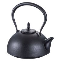 南部鉄器 Amazon｜池永鉄工(IkenagaIronWorks)鉄瓶0.6L南部鉄器やかん鉄分
