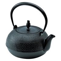 池永鉄工 鉄瓶 希のぞみ 507506 1個（直送品）