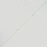 アルスコーポレーション PC ロッド棒一式 2.4m 999PCS07 1セット（直送品）