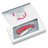 アルスコーポレーション 花小町 ギフト箱入 GIK-10 1本（直送品）