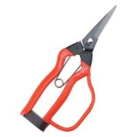 小林製鋏(越路) 越路 J-11G 青果鋏ガード付 185mm BP 1本（直送品）