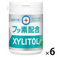 キシリトールガム+フッ素＜ペパーミント＞スリムボトル 1セット（1個×6） ロッテ