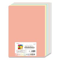 長門屋商店 いろいろ いろがようし クレヨンカラー A3 ミルキーカラー10色アソート ナ-CR914 1セット(20枚入×10)（直送品）