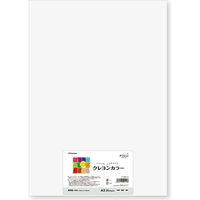 長門屋商店 いろいろ いろがようし クレヨンカラー A3 ゆき(白) ナ-CR111 1セット(20枚入×10)（直送品）