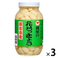 超お徳用 花らっきょう 580g 1セット（1個×3）桃屋