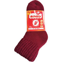 ディックコーポレーション ショート丈総パイル裏起毛シンカー レッド 4510218392591 1セット(2足組)（直送品）