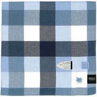 ニシオ POLO フォーマルハンカチ ブルー PLM5045BL 1セット(5枚)（直送品）