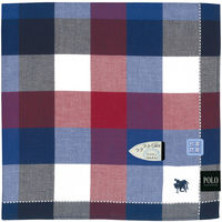 ニシオ POLO フォーマルハンカチ ネイビー PLM5045NV 1セット(5枚)（直送品）