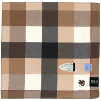 ニシオ POLO フォーマルハンカチ ベージュ PLM5045BE 1セット(5枚)（直送品）