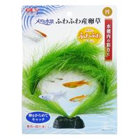 メダカ水景 ふわふわ産卵草 円 1個 ジェックス 水槽用