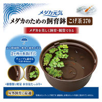 メダカ元気 メダカのための飼育鉢 こげ茶 320 1個 ジェックス