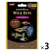 ネイチャーテクニカラー フィギュア ストラップ セット ウミウシ
