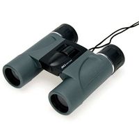 ケンコー・トキナー SGーH 10倍24mm口径双眼鏡 67-6577-07 1個（直送品）