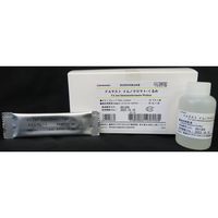 島津ダイアグノスティクス FAテスト イムノクロマト くるみ 10回 08638 1箱 67-6612-24（直送品）