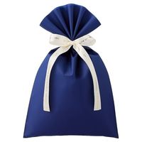 アズワン 無地 梨地ギフトバッグ ネイビー 幅20×高さ32cm 20枚 67-6873-03 1セット(20枚)（直送品）