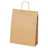アズワン 手提紙袋 丸ヒモ 再生紙タイプ 幅32×奥行11.5×高さ41cm 50枚 67-6873-13 1セット(50枚)（直送品）