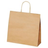 アズワン 手提紙袋 丸ヒモ 再生紙タイプ 幅32×奥行11.5×高さ31cm 300枚 67-6873-15 1セット(300枚)（直送品）