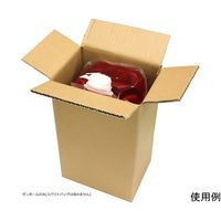 瑞穂化成工業 SBケース5L スパウトバッグ 5L用ダンボール 03585 1枚 67-6874-51（直送品）