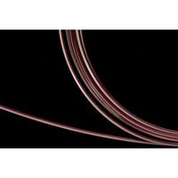 アイシス 細径PEEKチューブ(カラーライン付き) 1/16”×0.13mm 赤 5m巻 最大推奨使用圧:34MPa INA01305 1巻（直送品）