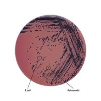 島津ダイアグノスティクス SSB寒天培地(顆粒)300g 5025 1個(300g) 65-9404-89（直送品）