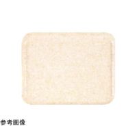 CAMBRO キャンブロ 角形カムトレー ライトピーチ(メローアイボリー)572×419mm 16225 1個 67-8134-49（直送品）