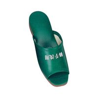 アズワン トイレ専用前開きスリッパ 御手洗用 ジャスパ グリーン 67-8164-48 1足（直送品）
