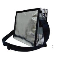 アズワン 定温安定輸送バッグ 67-8735-78 1個（直送品）