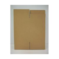 アズワン 一斗缶用A式ダンボール箱 10枚入 67-8740-87 1箱(10枚)（直送品）