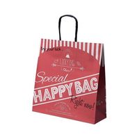 アズワン 福袋手提げ紙袋 ハッピーバッグ レッド 32×11×33cm 50枚入 67-8945-22 1個(50枚)（直送品）