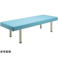 フィフティ・ヴィジョナリー 診察台ベッド 75ー55 ブルー FV-215-BL-W75-H55 1台 67-9285-37（直送品）