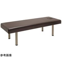 フィフティ・ヴィジョナリー 診察台ベッド [有孔タイプ] 70ー40 ブラウン FV-215B-BR-W70-H40 1台（直送品）
