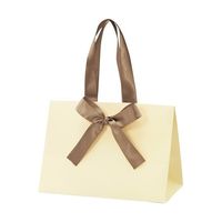 アズワン 手提げ紙袋 ノブレス クリーム S 100枚 68-0317-15 1セット(100枚)（直送品）