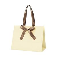 アズワン 手提げ紙袋 ノブレス クリーム M 100枚 68-0317-16 1セット(100枚)（直送品）