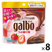 ガルボつぶ練り苺パウチ 1セット（8袋） 明治 チョコレート