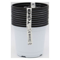 サクラクレパス ボンドタッチ 工作用接着剤 24ml | 文房具・事務