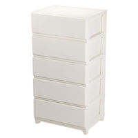 JEJアステージ　デコニーシーヴォワイド5段　ホワイト　　1台