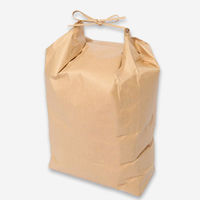 ホワイトバリーン クラフト紙製マチ付き精米袋 紐付き 3kg SKPB-r3k 1セット(300枚)（直送品）