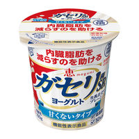 雪印メグミルク [冷蔵]雪印 恵 ガセリ菌SP株ヨーグルト 生乳仕立てプレーン 100g×10 49839357 1セット(10個)（直送品）