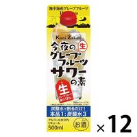 國盛 今夜のグレープフルーツサワーの素 パック 500ml 1セット（1本×12） 中埜酒造 リキュール 割り材