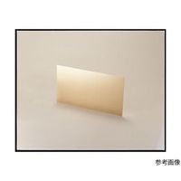 タカチ電機工業 RP型リン青銅板 RP1 1枚 64-6042-31（直送品）