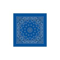 飯塚カンパニー バンダナ CP 62-7041