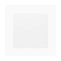 神堂 食品用フィルム 抗菌クリアシート 12×12 100枚入 004716363 1袋(100枚) 65-9114-46（直送品）